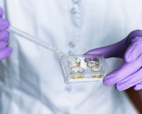 不孕不育论坛：不孕不育有什么特性？