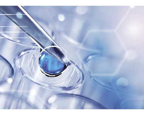 大连友谊医院试管婴儿费用指南：了解价格及经验分享