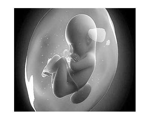 2026成都代生政策,(成都代生助孕)成都代怀生子机构有哪些？附费用详情？