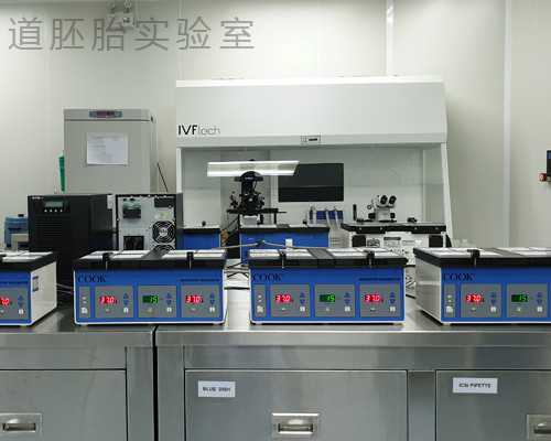 试管的人们真伤不起！关于养囊的成功率这些你得知道