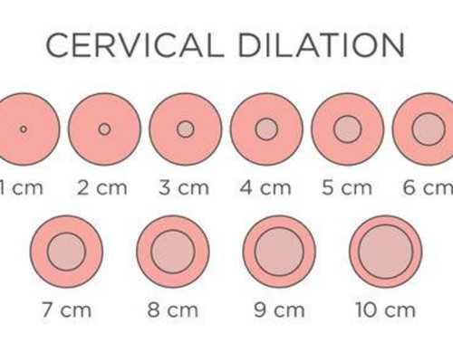有试管婴儿助孕，家有儿女不是梦