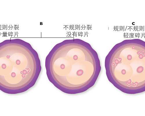 试管婴儿移植前孕酮19可以移植胚胎吗