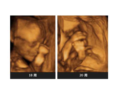 大连三代供卵试管婴儿医院排名？附大连试管成功率明细？