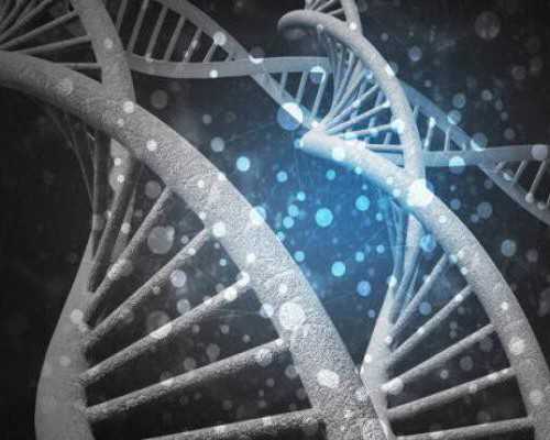 赤峰供卵成都助孕妈妈：供卵成都助孕妈妈的感受