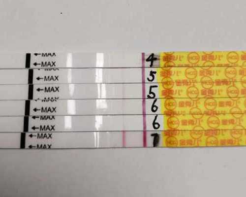 想要t卵p怀在国内哪家三甲医院可以做？