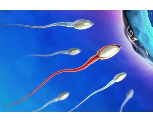 成都代生包成功,(成都代生助孕)成都代怀生子机构有哪些？附费用详情？