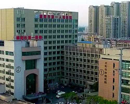 母乳黄疸的成都助孕妈妈饮食注意什么