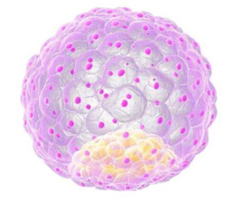 大连妇幼和大连附一哪家医院做三代供卵试管婴儿好？