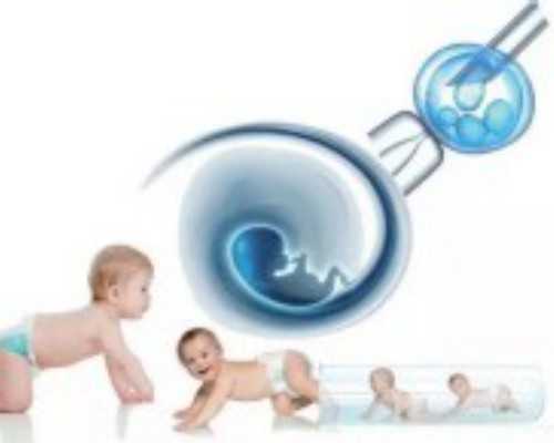 移植第一天胚胎在干嘛？会着床吗？