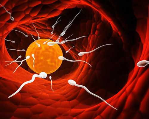 精子畸形率为什么这么高？