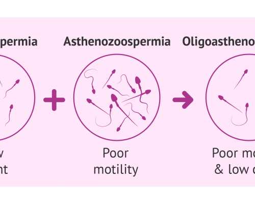 有没有44岁女性取卵移植成功的？能分享经验吗？