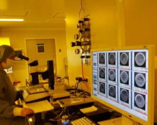 试管助孕：大连供卵医院与沈阳菁华医院对比分析