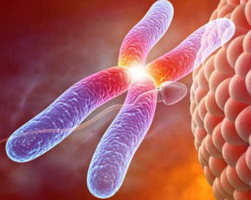 空孕囊影响下次会不会怀孕-无卵代生供卵