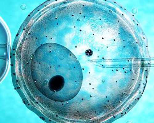 成都助孕妈妈们积奶了怎么办