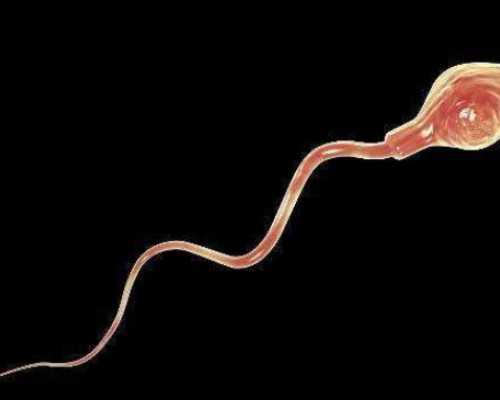 大连供卵代怀不排队,大连市妇女儿童医疗中心试管婴儿顺利移植