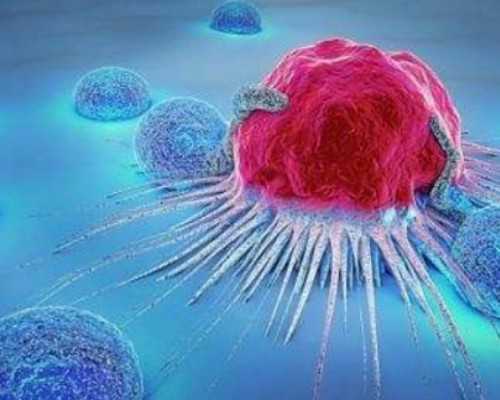 母乳喂养成都助孕妈妈瘦的快是什么原因？