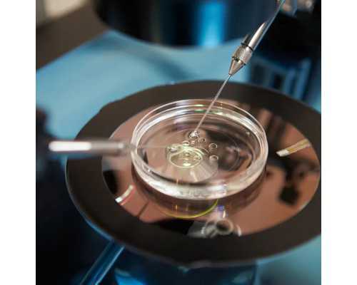 哺乳期成都助孕妈妈咳嗽怎么办