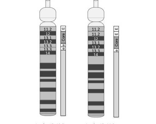 成都代生孩子官网,(成都代生助孕)成都代怀生子机构有哪些？附费用详情？
